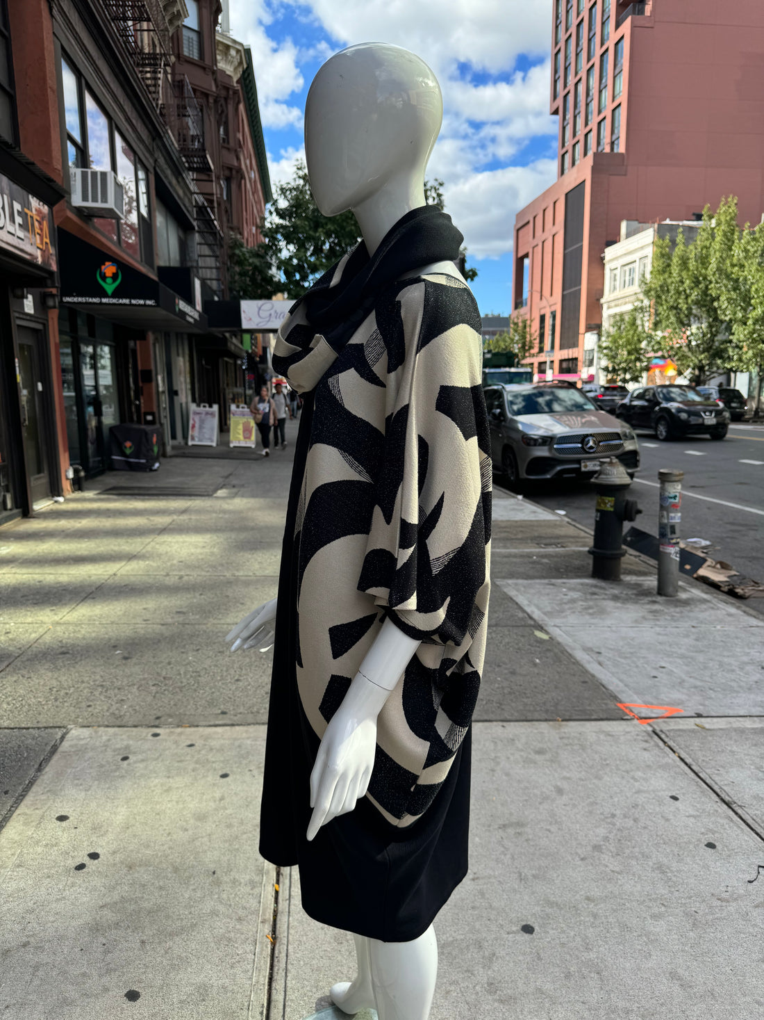 Dolman Sleeve Print Nora Dress
